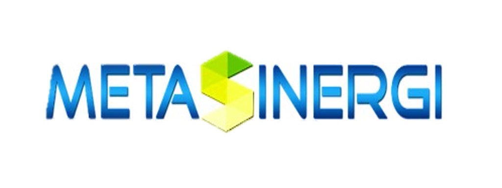 metasinergi.com